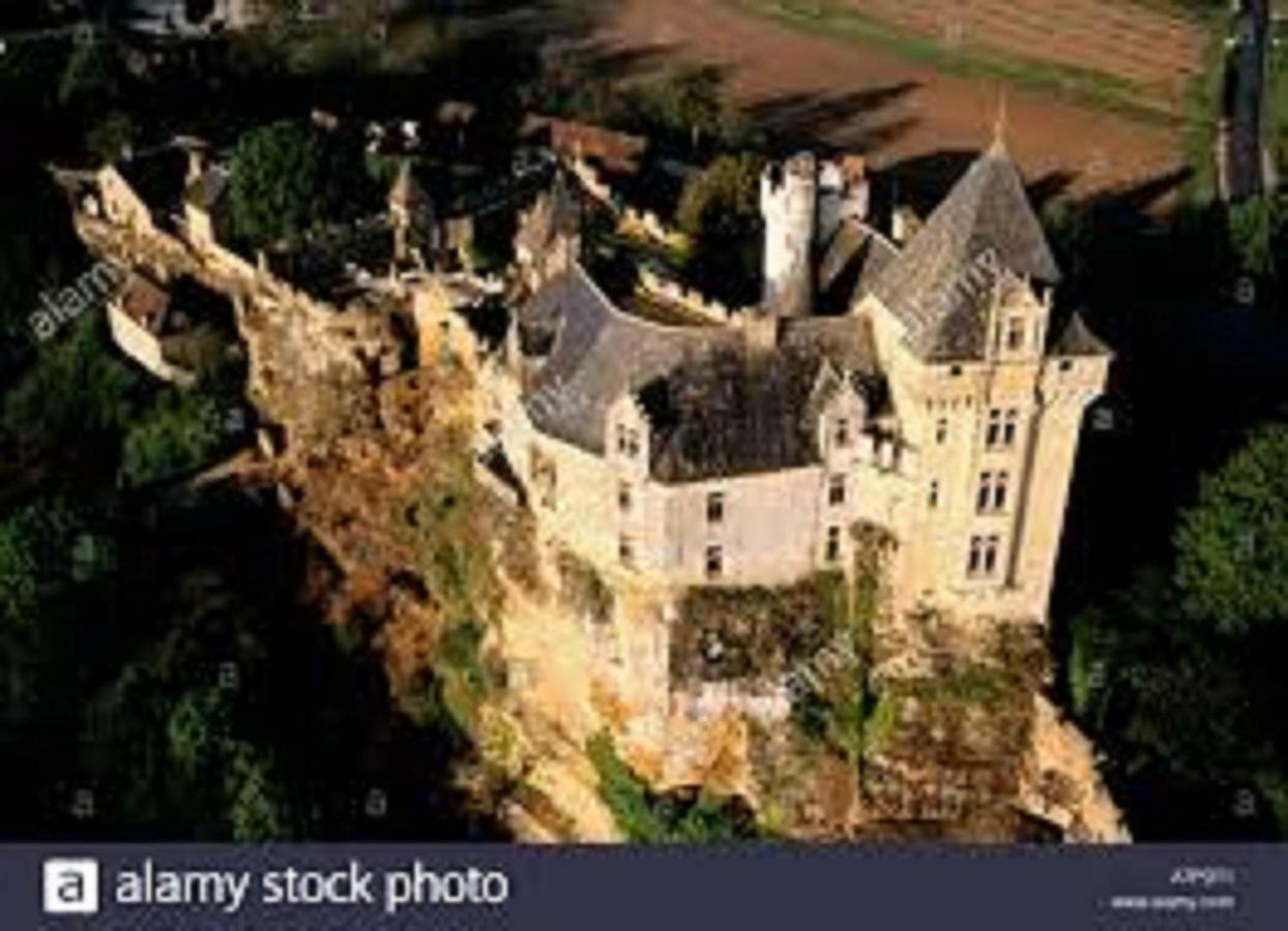 Villa Les Pruniers De La Cipiere Peyzac-le-Moustier Exterior foto